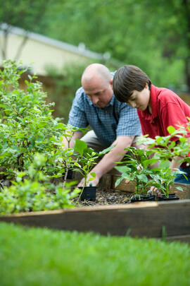 Old and young man gardening